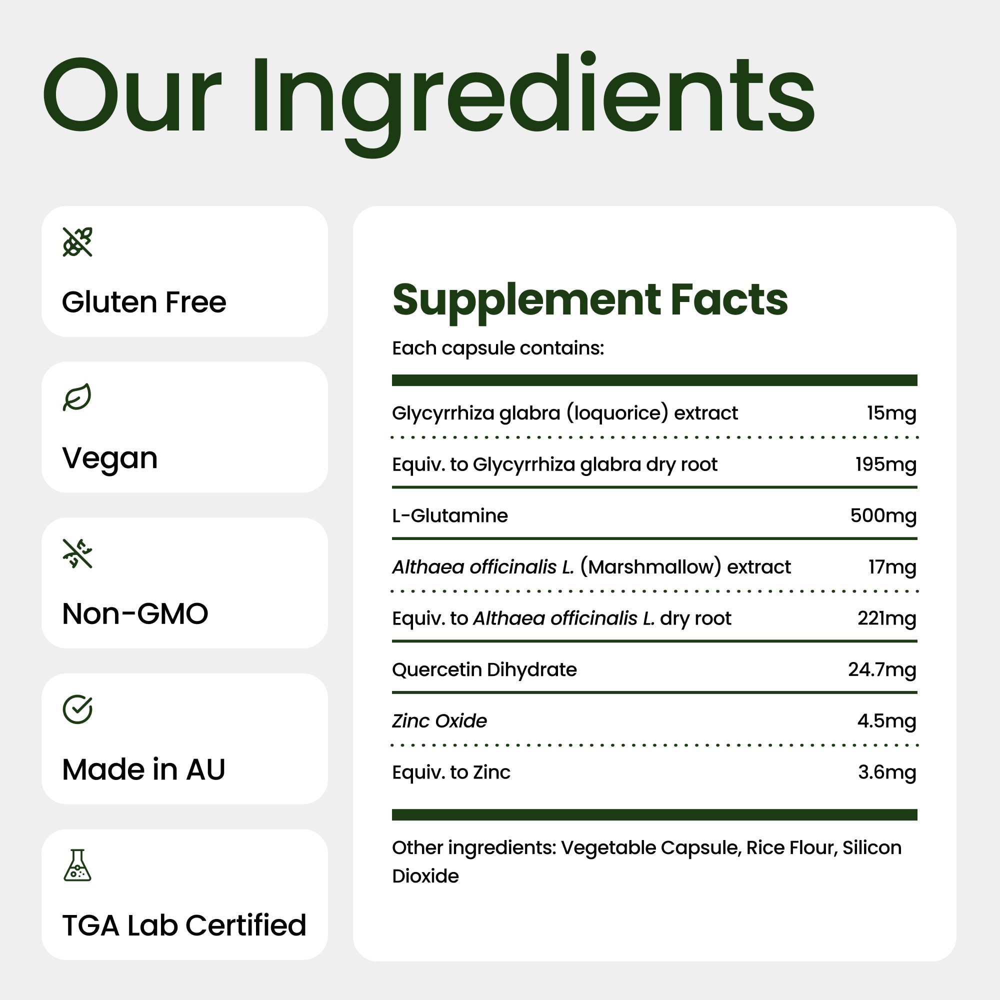 Gut Fix - Daily Gut Health Support